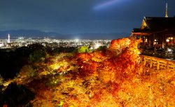 清水寺の夜間特別拝観