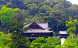 奈良 長谷寺本堂