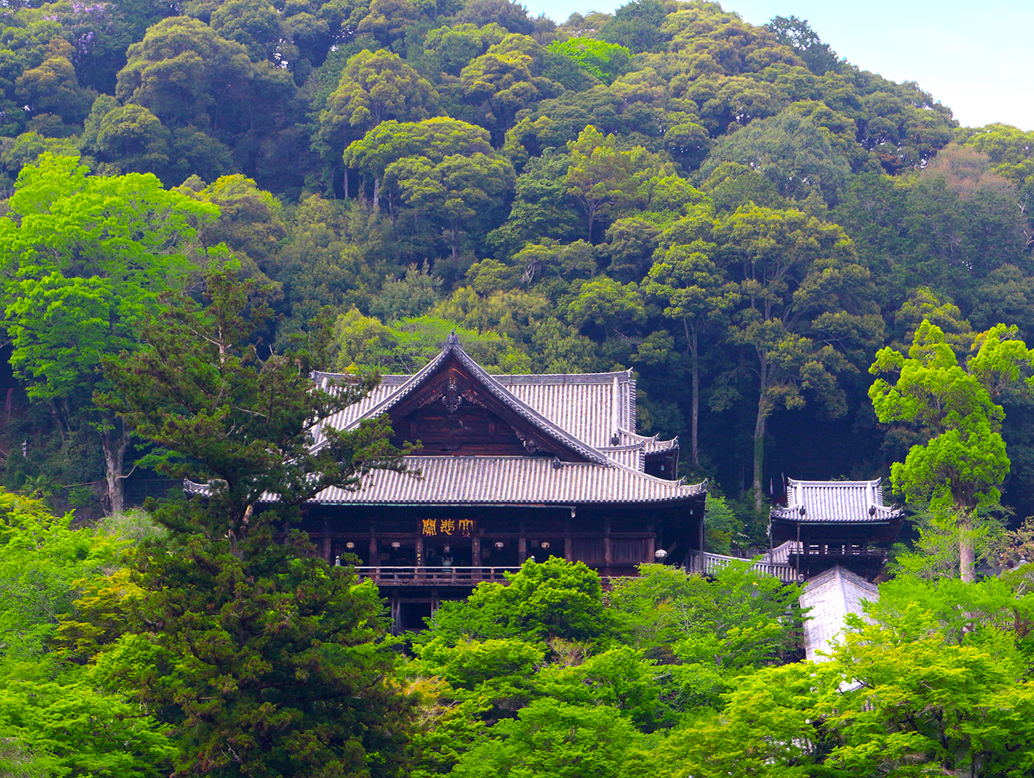 奈良 長谷寺本堂